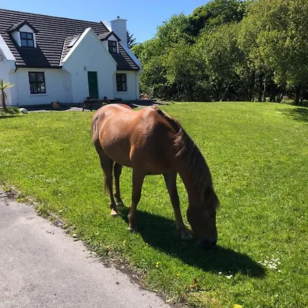 Holiday home House With Sea Views Close To With Wifi And Large Kitchen And Dining Ardnagreevagh